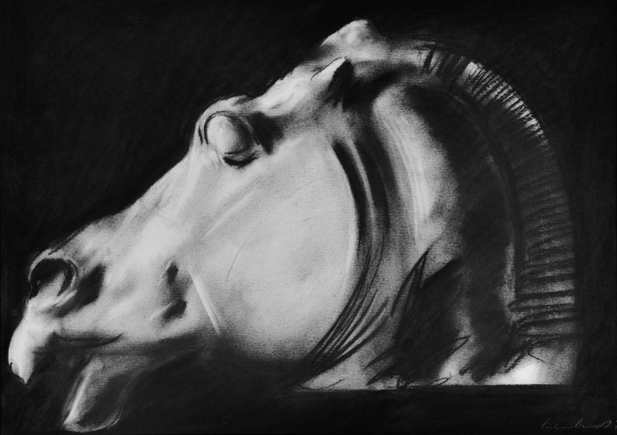 21_Federico Branchetti - Testa di cavallo del Partenone di Fidia, 2021 Carboncino su carta