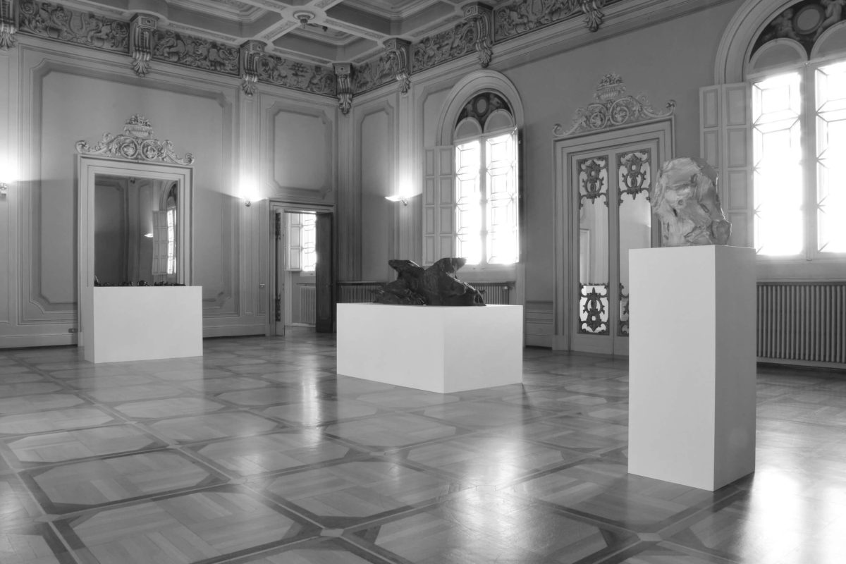 5_Federico Branchetti - installation view - Salone degli Specchi
